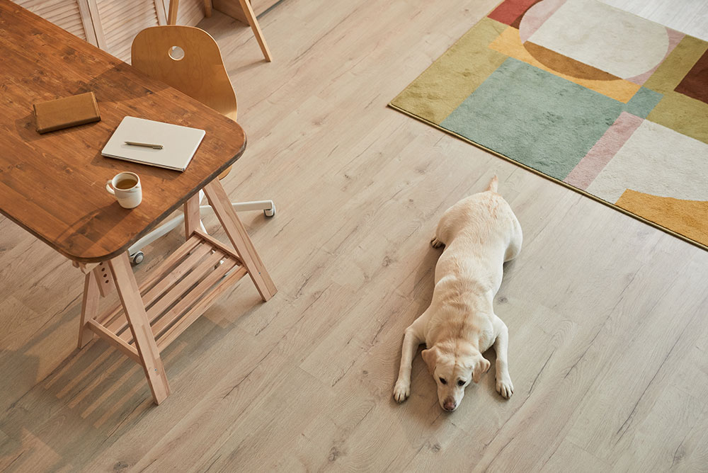 Why-Vinyl-Flooring-Stands-Out-as-Pet-Friendly-Flooring