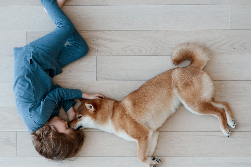 Why-Vinyl-Flooring-Stands-Out-as-Pet-Friendly-Flooring