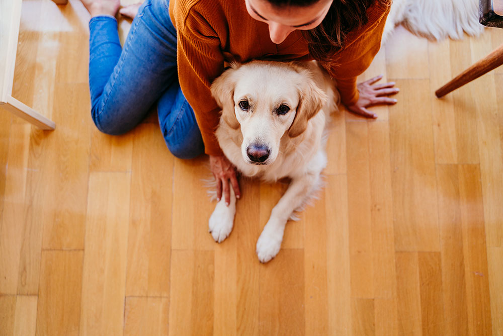 Why-Vinyl-Flooring-Stands-Out-as-Pet-Friendly-Flooring